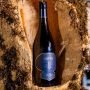 A wine bottle labeled "Aurva Chardonnay" 2022 rests in a natural alcove lined with moss.